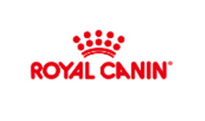 上海唐能翻譯公司 專業翻譯服務，助您跨越語言障礙